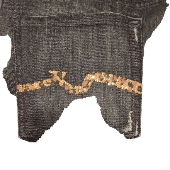 Elevate Your Style with 7 For All Mankind's Everyday Sequin Bootcut Jeans - Picture 2 of 16